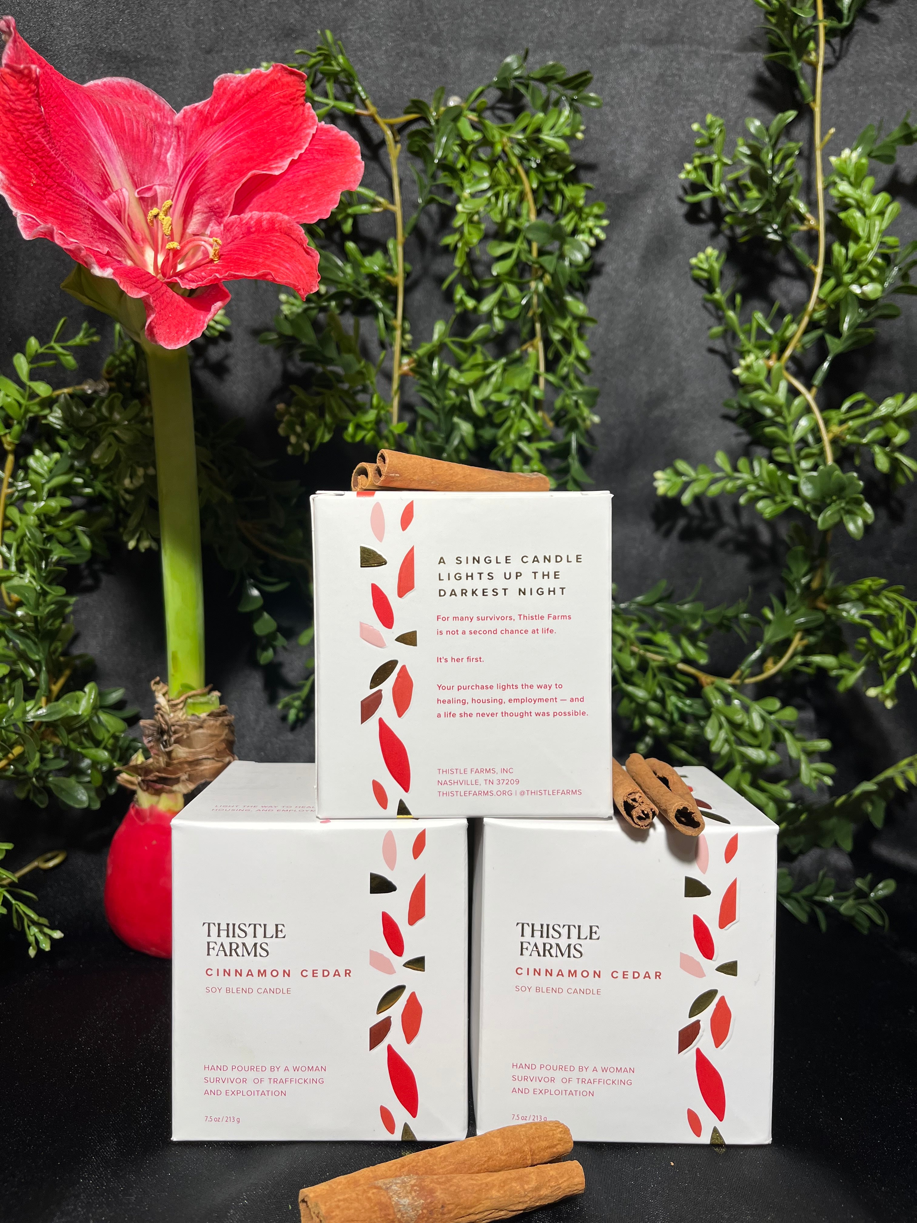 Thistle Farms Soy Blend Candle