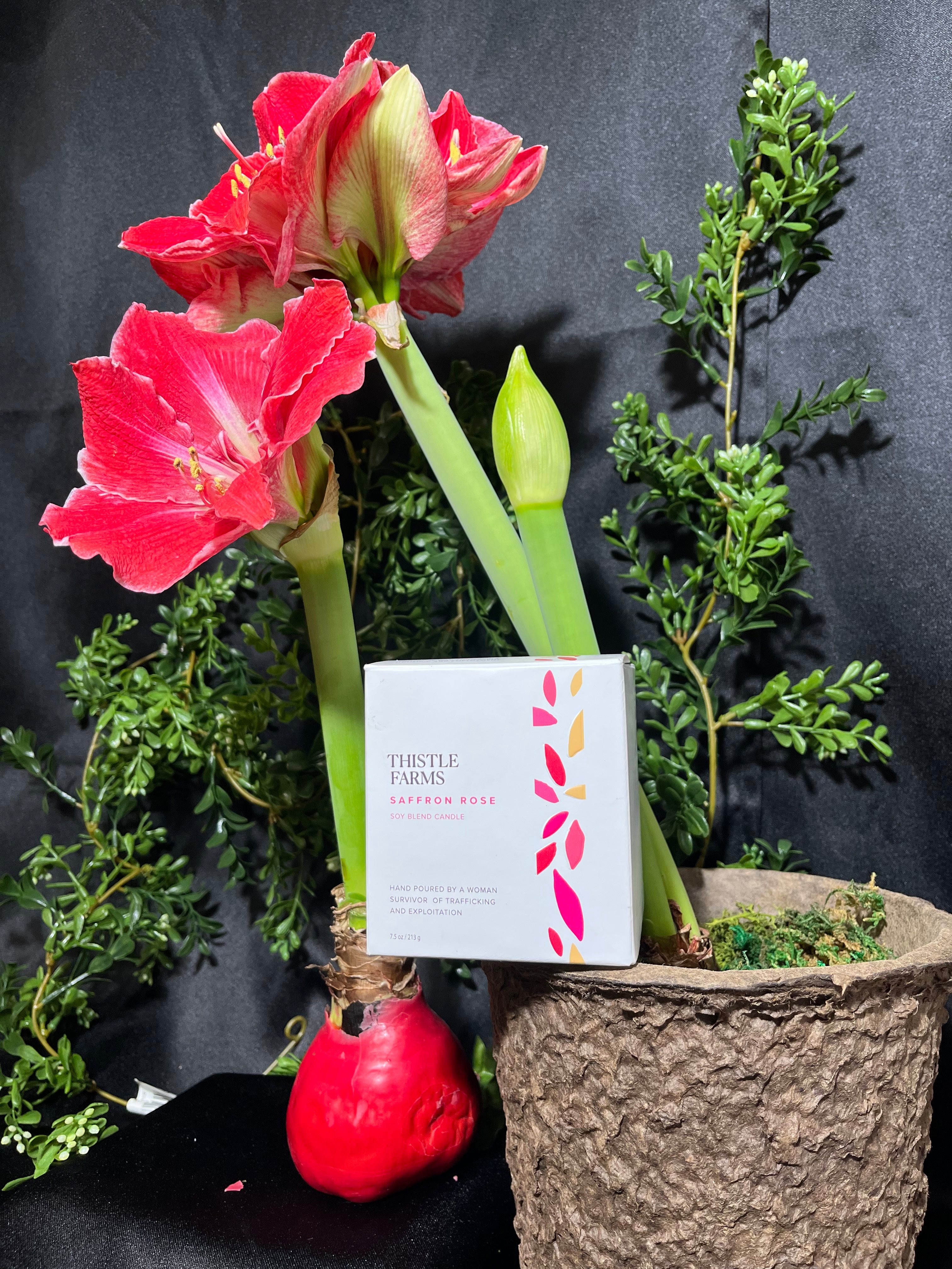 Thistle Farms Soy Blend Candle